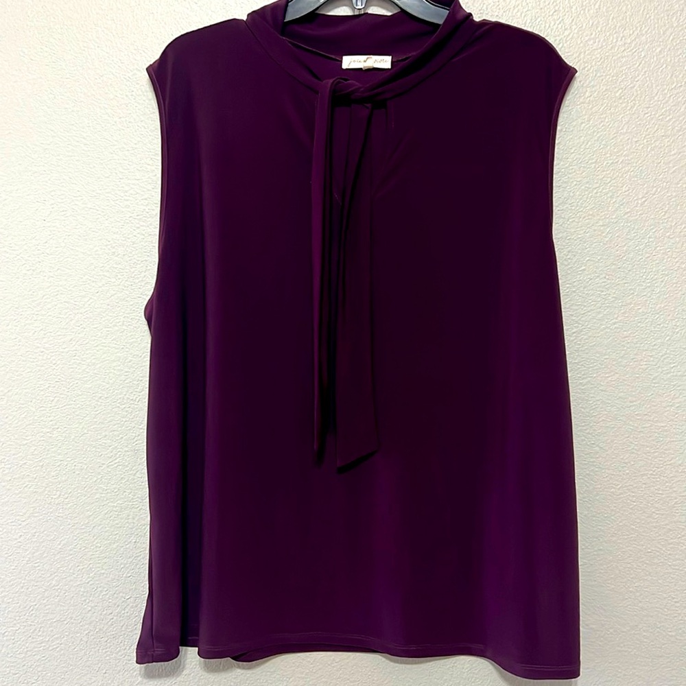 Joie de the woman’s sleepless, purple blouse tire around neck size 3X
